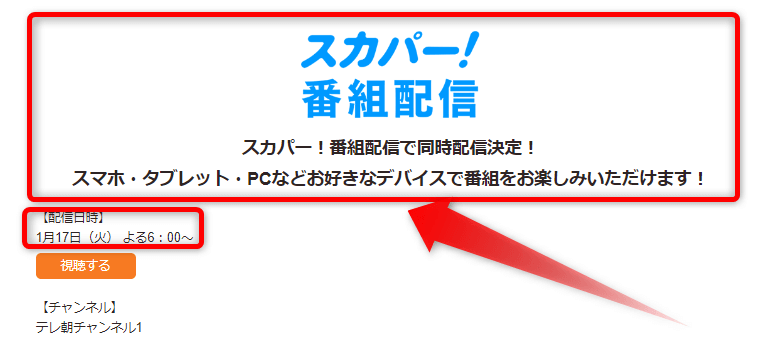カネコアヤノの武道館ライブはスカパー番組配信対応のためネット視聴可能