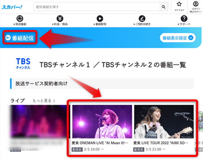 愛美 LIVE TOUR 2022 AIMI SOUNDはスカパー番組配信対応のためネット視聴可能