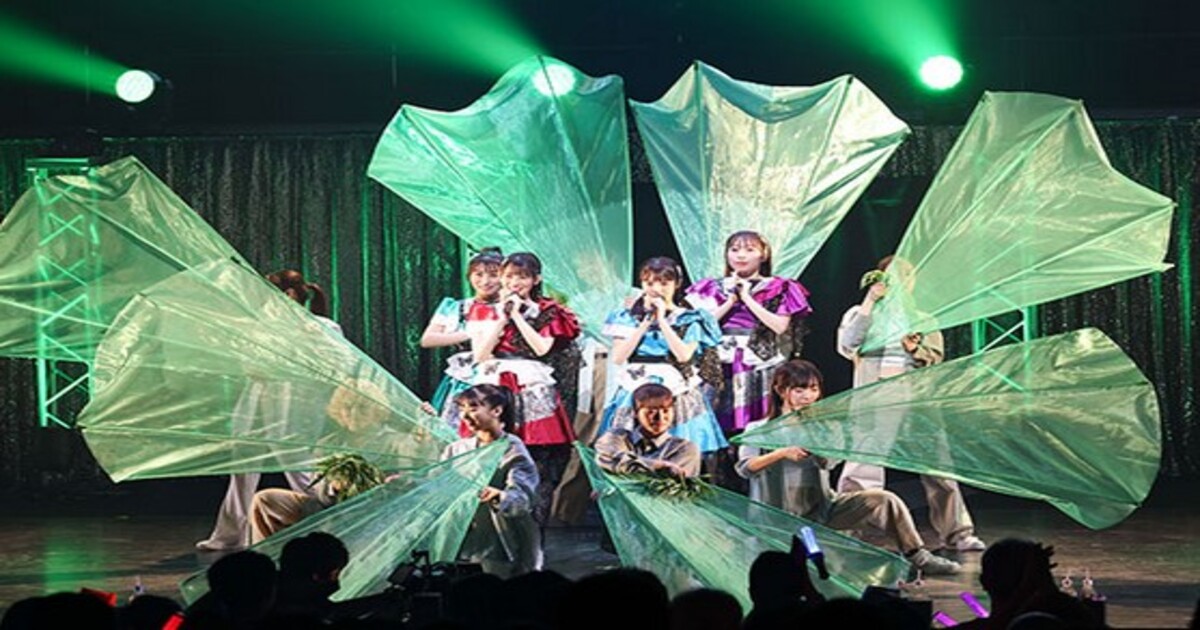 TEAM SHACHIのライブの配信視聴方法