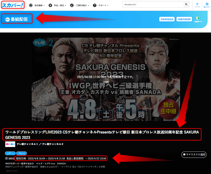 新日本プロレス4.8はスカパー番組配信対応のためネット視聴可能