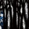 Dont freak outを配信で見る方法