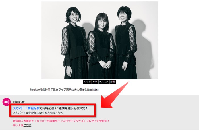 ねぎっこ20周年記念ライブは配信でも視聴可能