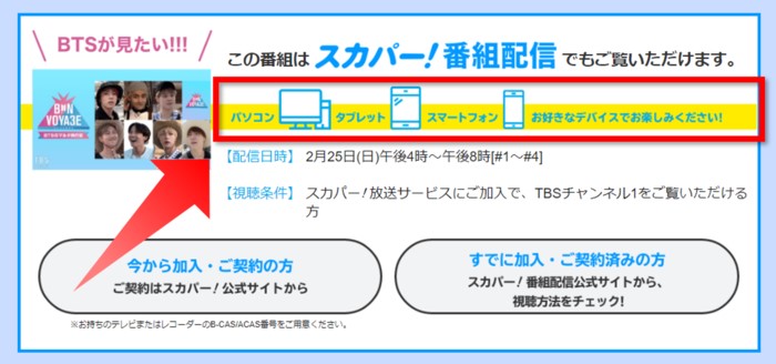 BTSのリアル旅行番組「BON VOYAGE（ボンボヤージュ）」をTBSチャンネルで視聴